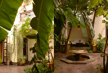 Riad Marrakech